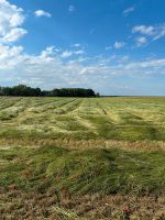 Silageballen Luzernegras Sachsen-Anhalt - Zeitz Vorschau