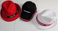 YANMAR Cap schwarz und Hut in weiß und AMMANN Hut in rot Baden-Württemberg - Langenburg Vorschau