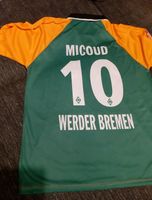 Shirt Werder Bremen Gr. M Sachsen-Anhalt - Langenstein Vorschau