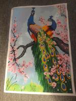 Pfauen 5D diamont painting 40/60 cm- fertig gemacht Nordrhein-Westfalen - Gladbeck Vorschau