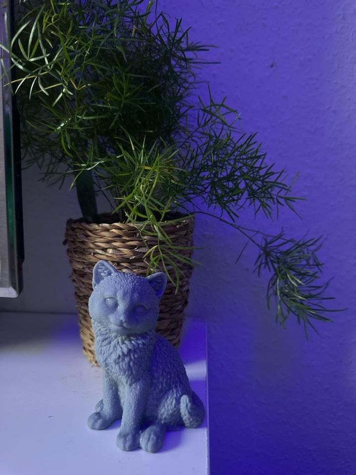 Katzenstatue aus Harz in 4K-Auflösung 3D Druck in Mannheim
