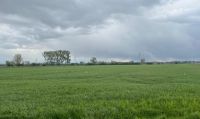 Landkreis Kleve: ca. 5 ha arrondiertes Ackerland zu verkaufen Nordrhein-Westfalen - Emmerich am Rhein Vorschau