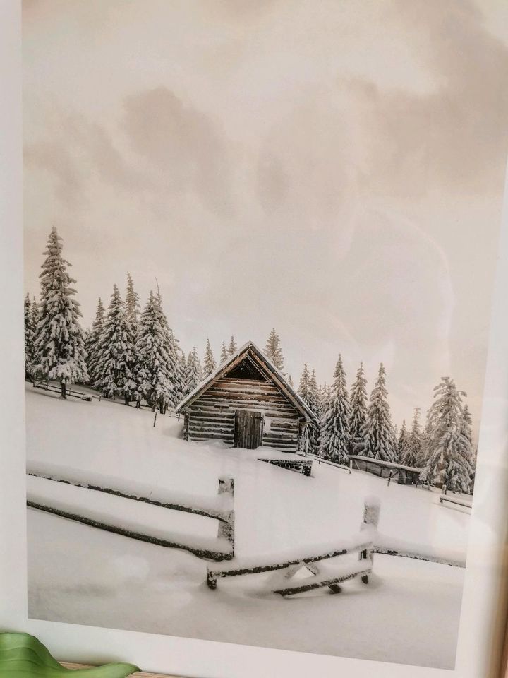Posterstore/Desenio Poster Schnee 30x40 cm in Furth