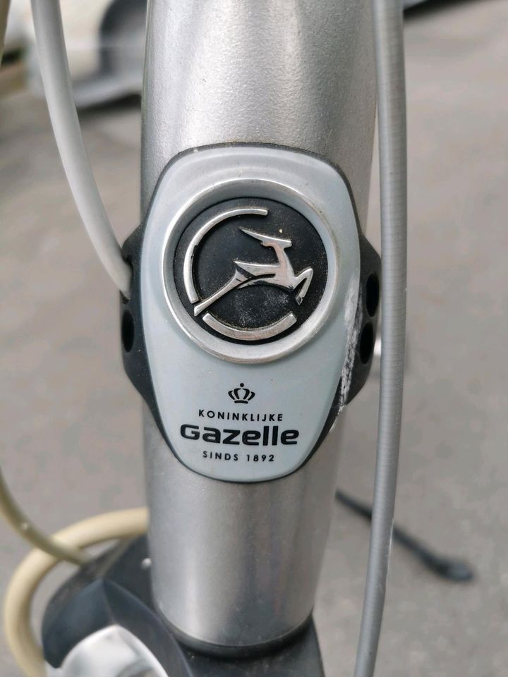 Gazelle Orange Innergy Plus in Hünxe