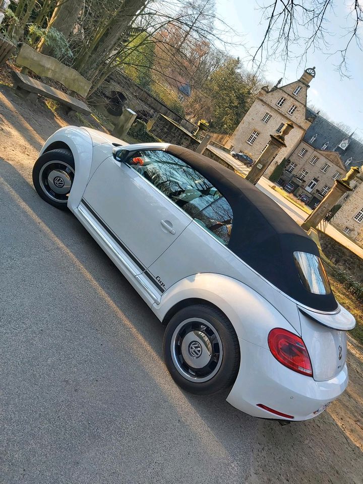 VW Beetle  Cabrio "Cup"  Käfer in Hörstel