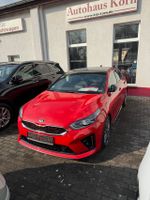 Kia Pro Ceed GT Panoramadach Brandenburg - Lauchhammer Vorschau