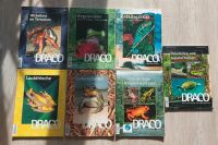 Draco Fachzeitschriften Terraristik Reptilien Thüringen - Mellingen Vorschau