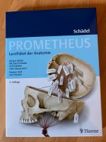 Prometheus LernPaket Anatomie Schädel (Poster+Karten) Hannover - Südstadt-Bult Vorschau