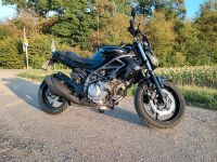 Suzuki Gladius SFV 650 Gladius Baden-Württemberg - Böblingen Vorschau