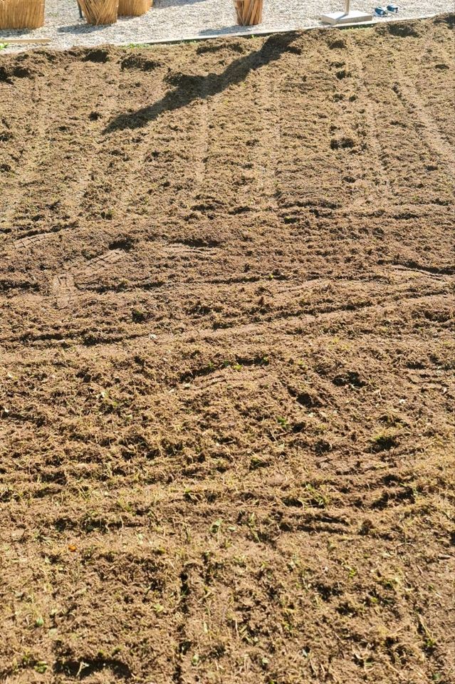 Vertikutierer zu vermieten in Rohrbach