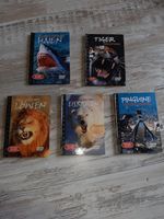 Natural Killers DVDs DVD 1, 3, 4, 6, 13 Tiere Haie Tiger... Nordrhein-Westfalen - Gummersbach Vorschau