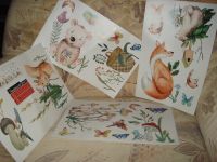 Wandtattoo Fensterbilder Wandsticker Tiere Blumen etc. Hessen - Friedrichsdorf Vorschau