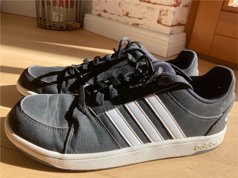 Adidas Turnschuhe Größe 38 in Käbschütztal