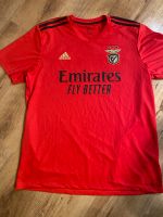 Benfica Lissabon Adidas Trikot Größe XL Eimsbüttel - Hamburg Eidelstedt Vorschau