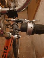 Ich bitte eine Fahrrad Sachsen-Anhalt - Halle Vorschau