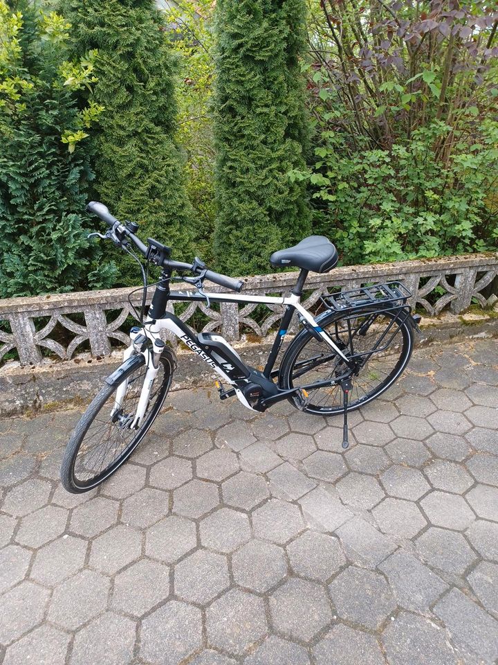 Pegasus E=Bike in Wilmeröderberg