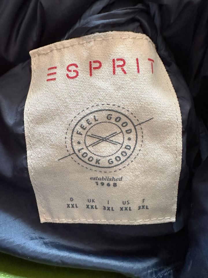 Steppjacke Esprit XXL in Gößnitz