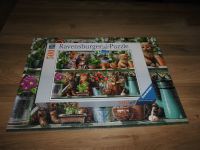 Ravensburger Puzzle Katzen im Regal 500 Teile von 2019 neuw. Nordrhein-Westfalen - Leverkusen Vorschau