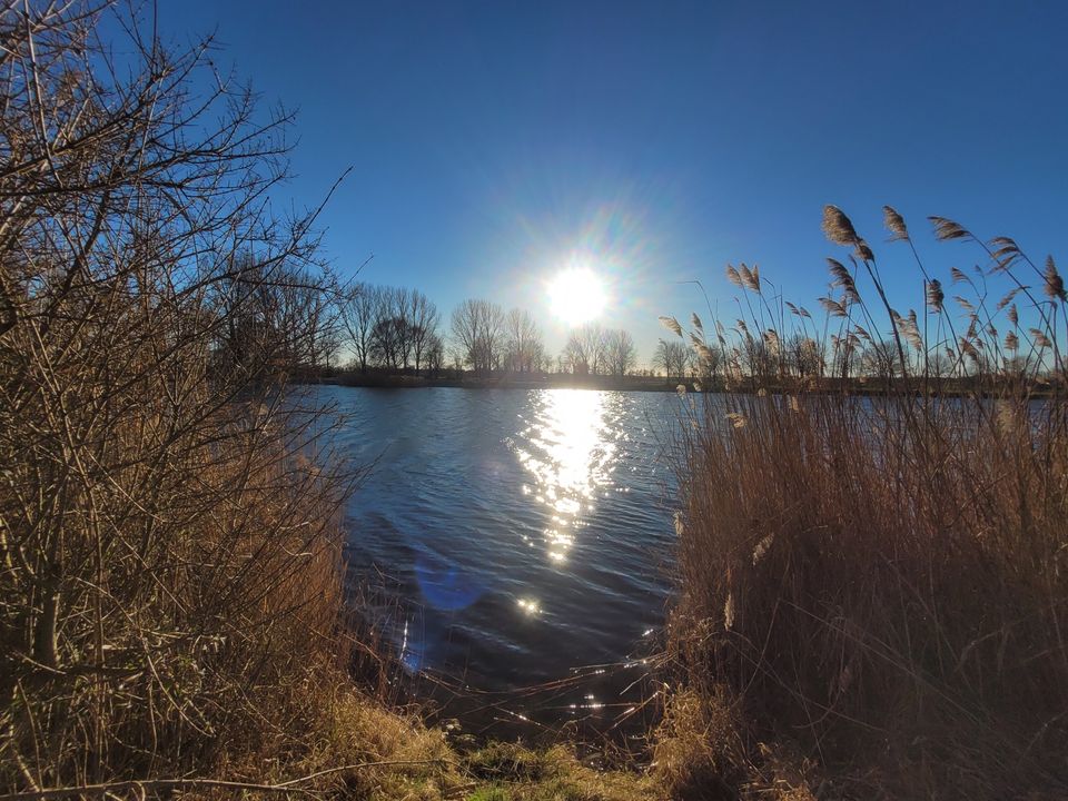 großes Grundstück am Badesee Tarmow (Fehrbellin) - mit Bebauungsoption für Gewerbe (Imbiss) und Betriebswohnung - auch zur Freizeitnutzung geeignet in Fehrbellin