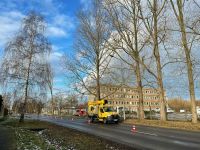 Verkehrssicherheit herstellen Baumpflege Baumfällung beschneiden Mecklenburg-Vorpommern - Jabel Vorschau
