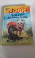 Kinderbuch Sheltie und das kleine Fohlen Rheinland-Pfalz - Weitefeld Vorschau