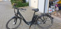Prophete 26 Zoll Tiefeinsteiger E-Bike + 36 V Akku + Ladegerät Nordrhein-Westfalen - Hennef (Sieg) Vorschau