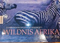 Kalender Afrika Serengeti Buch Tierwanderung Bildband Niedersachsen - Damme Vorschau