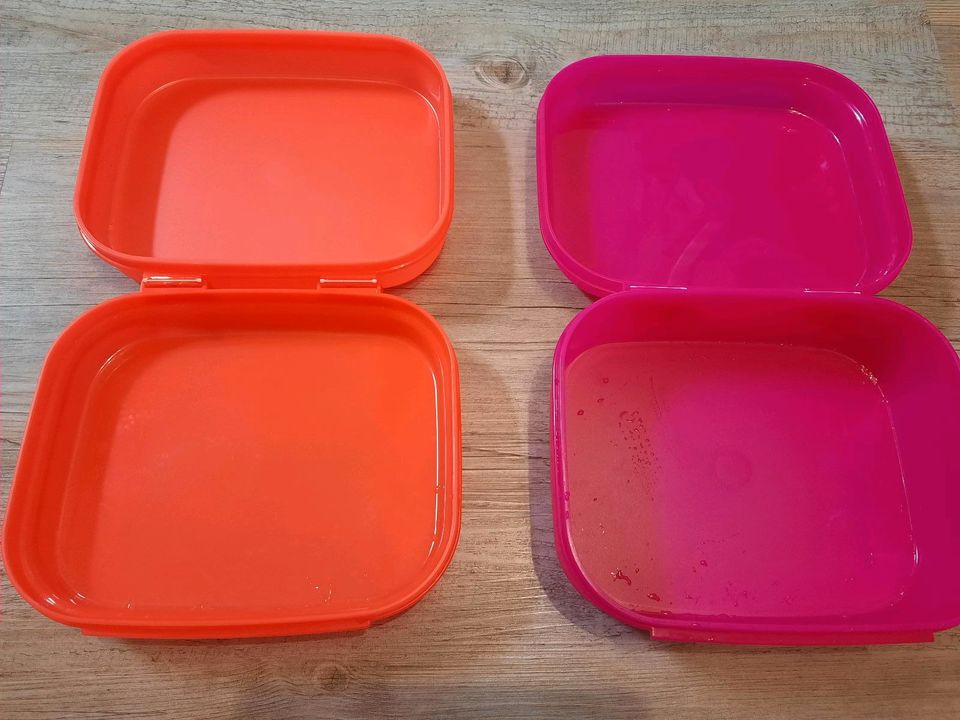 XL und XXL Dosen von Tupperware in Marksuhl