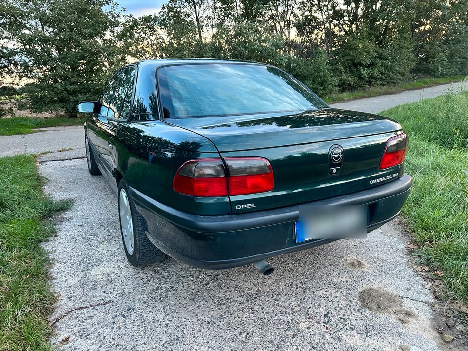 Opel Omega 2.0 16V in Worms