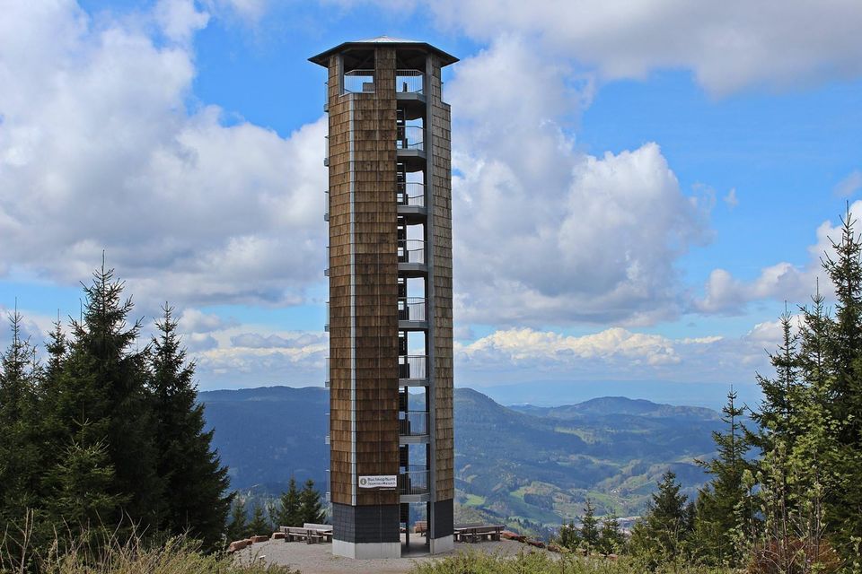 Ferienhaus im Schwarzwald - Ferienwohnungen, Alleinlage, Natur in Oppenau