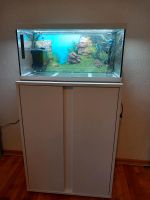 Aquarium 60x30x30 - 60 ltr. inkl. Unterschrank - weiß Bayern - Ottensoos Vorschau