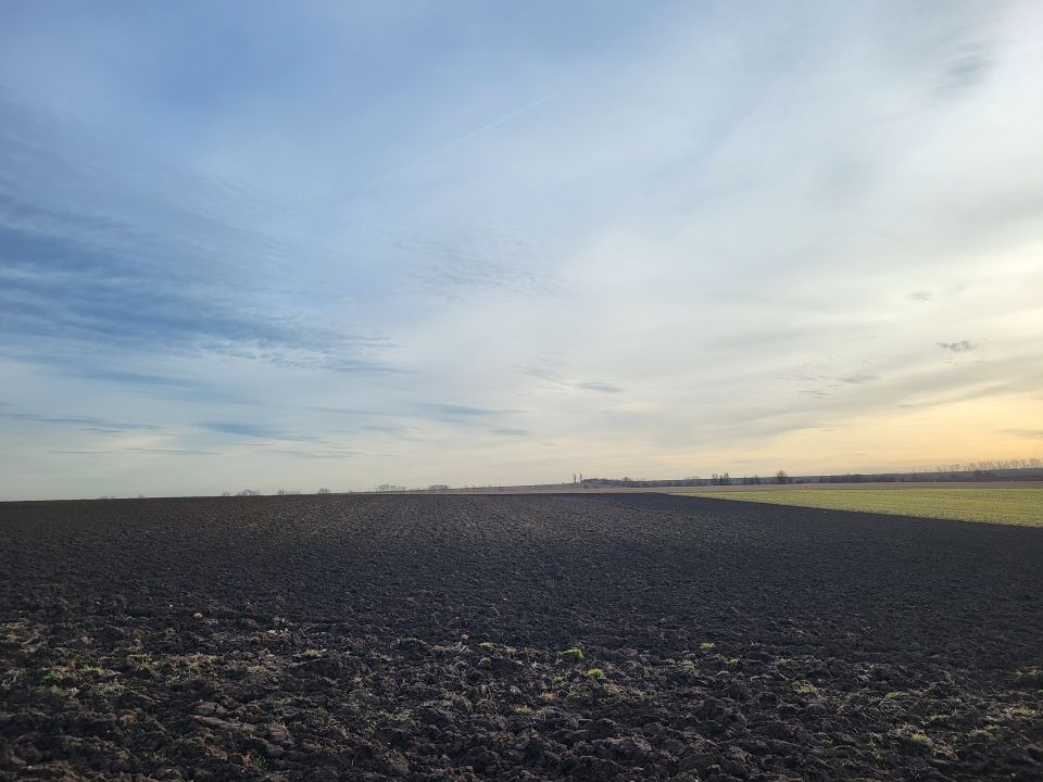 Grundstück mit weitschweifenden Südblick in Liebstedt in Ilmtal-Weinstraße