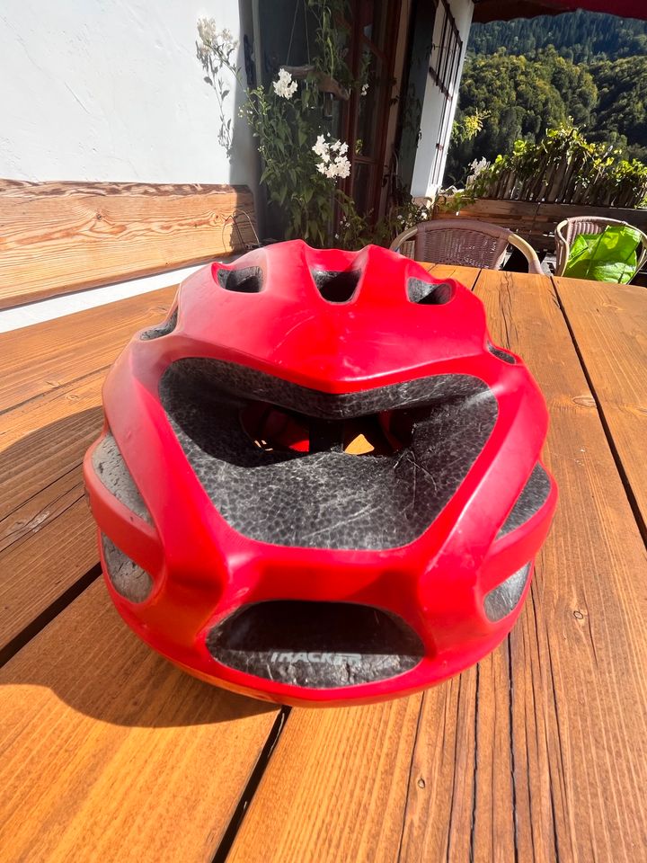 BELL Fahrrad Helm rot Gr. 54-61cm in Marktschellenberg