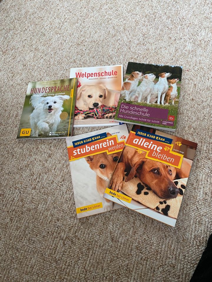 5 Bücher über Hunderziehung in Buchholz in der Nordheide