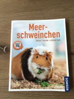 Meerschweinchen, Halten, Pflegen, Beschäftigen, sehr gut erhalten Hessen - Trebur Vorschau