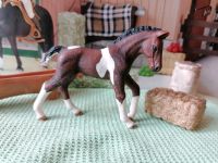 Schleich Trakehner Fohlen  Pferd Ponyhof Bauernhof Berlin - Neukölln Vorschau