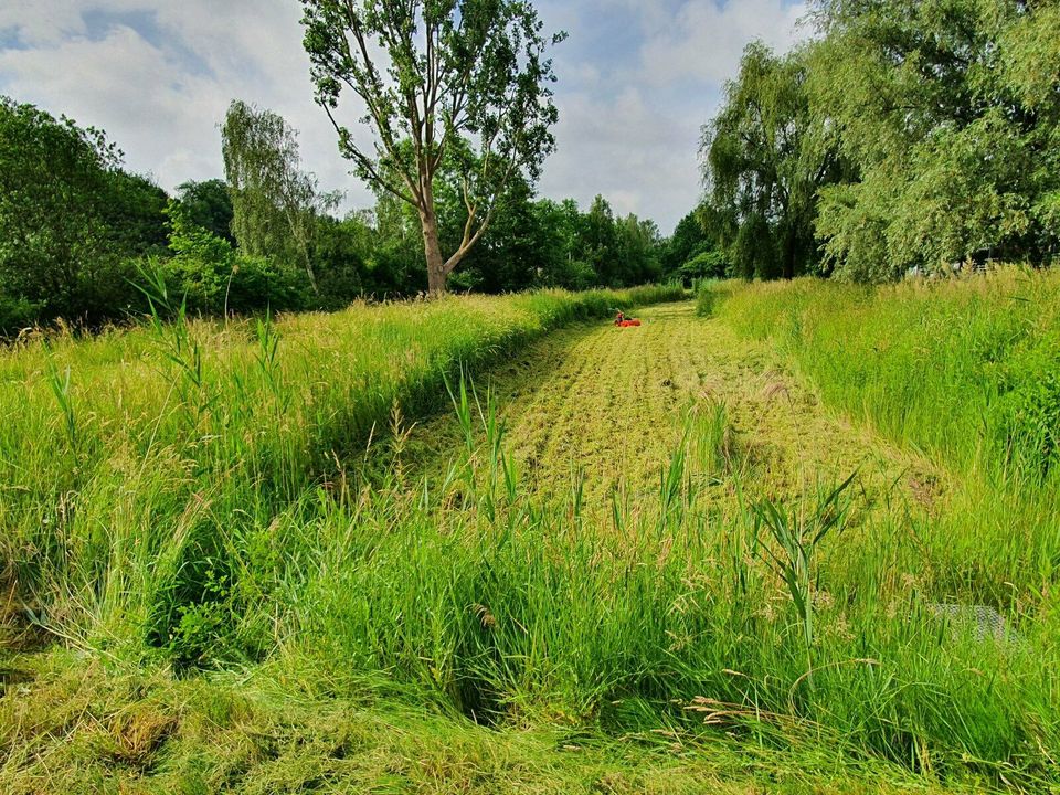 Garten- Landschaftspflege Heckenschnitt Mäharbeiten Freischneider in Hamburg