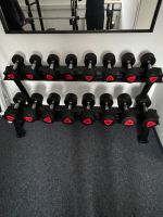 Hantelnder Hammer strength 5kg bis 22,5kg wie neu Bayern - Nürnberg (Mittelfr) Vorschau