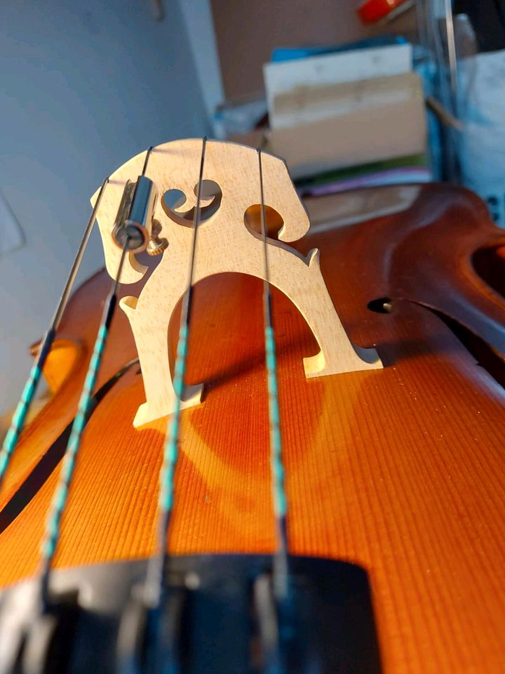 4/4 Cello ca. 100 Jahre alt in Hamburg