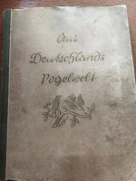 Altes Buch Vogelwelt 1936 Niedersachsen - Uplengen Vorschau