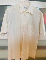 Herren Hemd kurzarm beige Gr. 40 neu Walbusch Niedersachsen - Bad Zwischenahn Vorschau