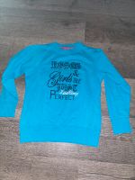 Pullover von ZAB Kids gr.128 Hessen - Dietzenbach Vorschau