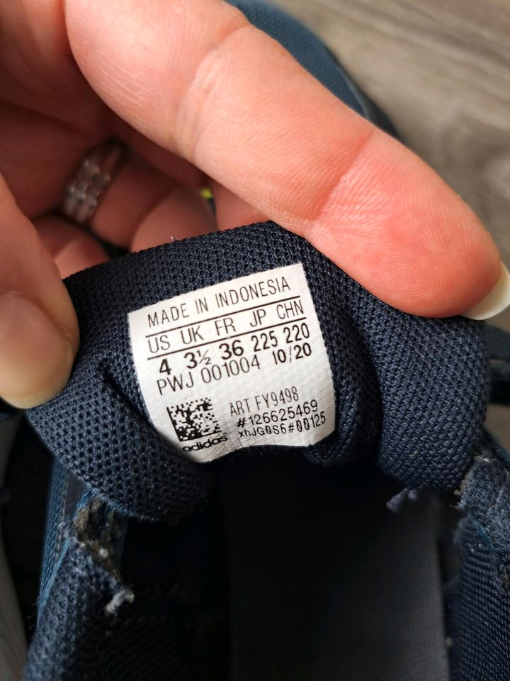 Turnschuh ADIDAS Jungs Größe 36 in Weißenfels