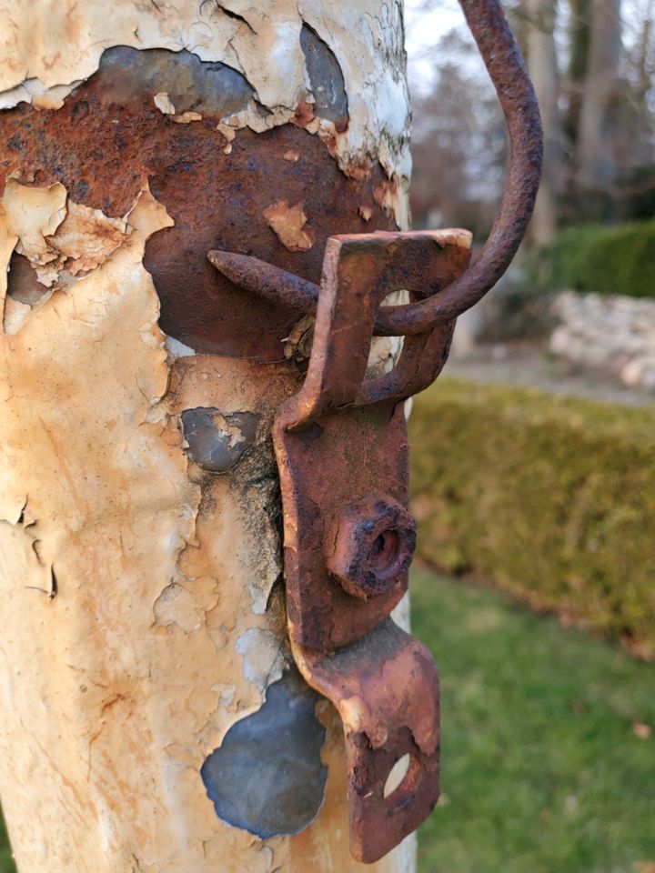 Fahnenmast inkl. Seil und Fundament | ca. 8 Meter hoch in Boostedt