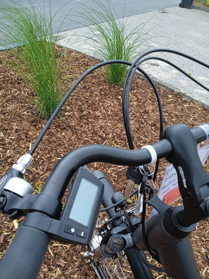 E-Bike Elektrofahrrad Posten Fahrrad Rad in Wiesmoor