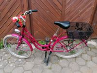 Mädchen Fahrrad 26 pink Niedersachsen - Rodenberg Vorschau