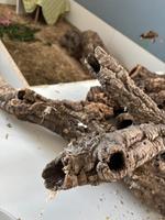 Korkröhren Konvolut - verschiedene Durchmesser Kleintiere Bayern - Niederaichbach Vorschau