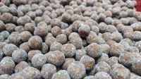 Futterboilies 2,5kg jl bait 18mm Karpfenangeln Niedersachsen - Quakenbrück Vorschau