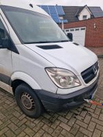 Mercedes-Benz Sprinter ( Motorschaden) Nordrhein-Westfalen - Lengerich Vorschau