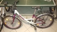Kinder Fahrrad 24 " Bike Marken-Ausstattung Shimano Trelock NP339 Bayern - Heilsbronn Vorschau